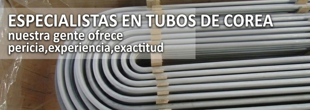 ASEA METAL — Banner 2 (México)